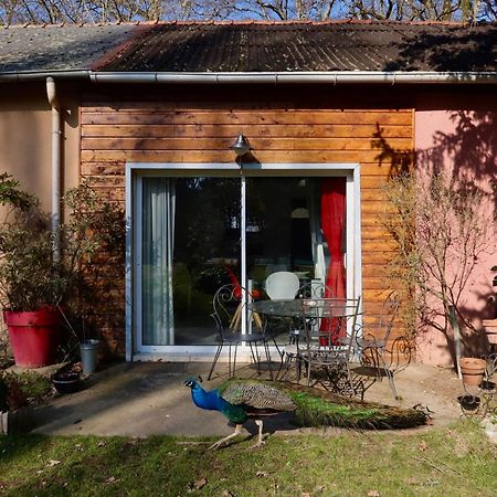 La Faisanderie Saint-Florent-sur-Cher Kültér fotó