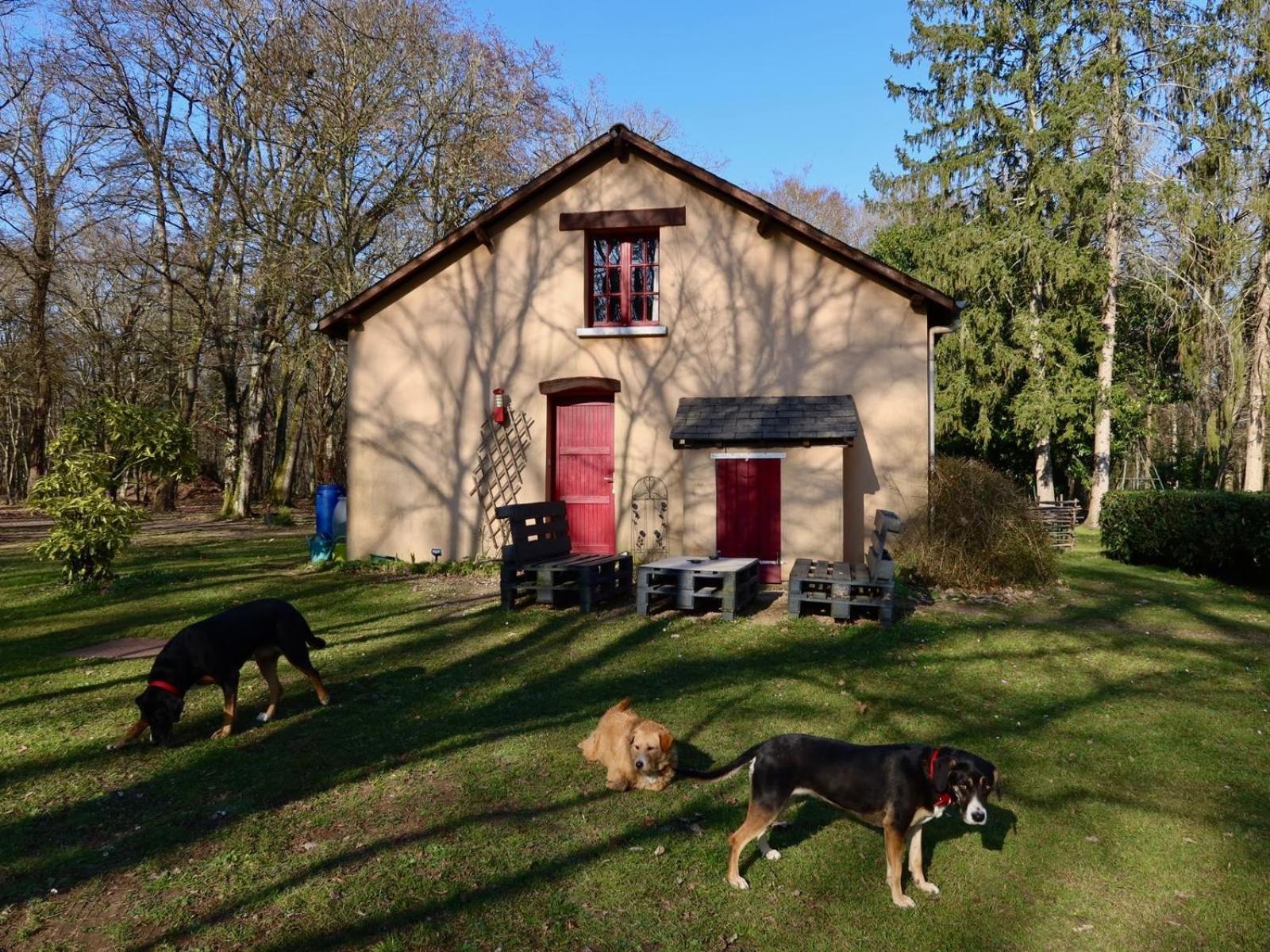 La Faisanderie Saint-Florent-sur-Cher Kültér fotó