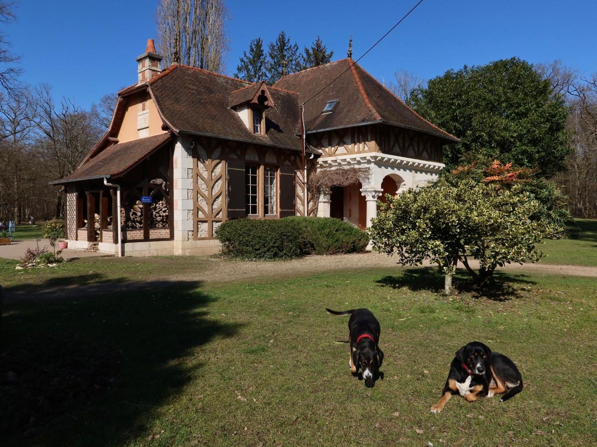 La Faisanderie Saint-Florent-sur-Cher Kültér fotó
